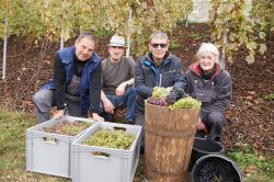 Weinlese 2020 16